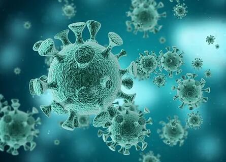 2012年卫生部预警新型冠状病毒？