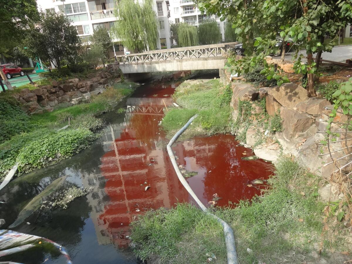 环保现场第十五期：温州“红河”事件频发 拷问污染症结所在