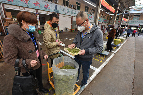 2月24日  位于松阳的浙南茶叶市场开门迎客